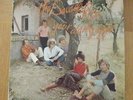 The Savage Rose-Your daily gift LP 1971 Psych.
