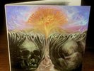 MOODY BLUES»In Search of the Lost Chord»`68 Symphonic-Psych Classic  NM(-)