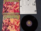LUNACHICKS BABYSITTERS ON ACID ORIGINAL VINYL LP WITH BOOKLET