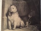 Pavlov's Dog, Pampered menial, 1975, Vinyl, LP, Record, NM/NM