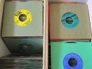Pick 4 Doowop 7