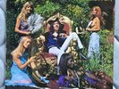 PETE BARDENS - CAMEL -The Answer - UK TRANSATLANTIC - PROG Vinyl LP VERY RARE
