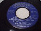 GARAGE 45. THE MISSING LINKS-I TOLD YOU I LOVED YOU/WHEN I SEE MY BABY/AMY 960