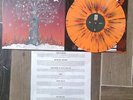Dance Gavin Dance - Artificial Selection Vinyl LP /700 Orange / Red Black  New