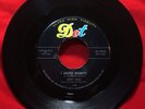 Rockabilly/Rocker: JERRY NEAL I Hate Rabbits 45 on DOT mp3 LISTEN  ORIG.
