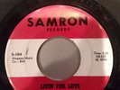RARE PA GARAGE 45 RECORD THE FIVE FLYS SAMRON 104 VG-