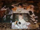 Norah Jones Rare Hand Signed The Fall Limited Edition Vinyl LP Record Poster COA