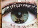The Freak Scene – Psychedelic Psoul – Psych Rock Vinyl LP