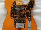 Prince Madcat Telecaster Guitar