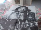 VAN MORRISON 1971 Tupelo Honey 1st Press GATEFOLD GREEN LP with POSTER