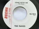The Panics Come Back To Me Rosina #138 Record Vinyl 45 Texas Garage Band 1965