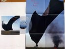 PINK FLOYD - High Hope + clear Vinyl + poster - 0825646288304