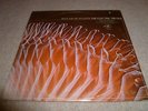 THE ELECTRIC PRUNES-The Release Of An Oath VINYL LP   STEAMBOAT