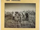 Feelies - The Good Earth LP - Coyote