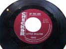U.S. Northern Soul 45  Little Walter  Up The Line  Beautiful NM Checker