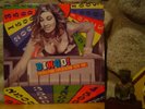 BINGO  FRENCH PUNK EXPLOITATION 1978-1981 LP/Soda Fraise/Bulldozer/Geiger/KBD
