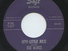 Hear- Rare Doo Wop/Teen 45 - The Danes - Hey  Little Julie - Soft Records # 102