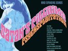 SATAN'S PILGRIMS Psychsploitation LP phantom surfers estrus mummies estrus SURF