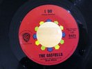 THE CASTELLS I Do, Teardrops (BRIAN WILSON) WARNER BROTHERS 5421 NM/NM- & NM-