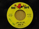 Roddie Joy 45 Come Back Baby / Love Hit Me With A Wallop - Red Bird VG++