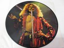 Led Zeppelin - 1973 Interview Picture Disc Vinyl LP