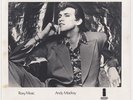 ROXY MUSIC / ANDY MACKAY Publicity photo 10