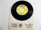 Glass Sun-Silence Of The Morning-Vintage Rare Vinyl 45RPM Garage Band Record '71