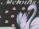 MELVINS - Stoner Witch (reissue) - Vinyl (gatefold 180 gram audiophile vinyl LP)