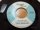 RARE WISCONSIN GARAGE PSYCH-TARGET 1002-LOYAL OPPOSITION-TELLING LIES-45-NICE