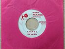 THE BIKINIS Crazy Vibrations PROMO from Las Vegas Grind #3 Crypt Exotica Cramps