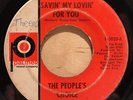 northern soul 45 THE PEOPLES CHOICE Savin' My Lovin' For You PALMER mp3