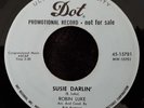 Robin Luke - Dot 15781 - 1958 - 45 RPM Record - PROMO - Vinyl - HAH