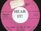 The Eagles DOO WOP 45 (Mercury 70391) Tryin' To Get To You/Please,Please VG++/M-