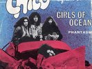 CHICO MAGNETIC BAND 