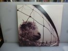 Pearl Jam-Vs-USA 1993 First Edition Gatefold Vinyl LP-M/M.
