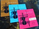 Mozart: Seven Trios - Trio Di Bolzano **Original Vox PL 8493 3LP Complete Set**