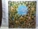 Wizz Jones  Magical Flight  Rare 1977 Plant Life UK Import Acoustic Folk Rock Lp