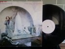 John Frusciante - The Will to Death, Mint condition, Vinyl 12