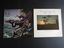TWO BO HANSSON LP's ' LORD OF THE RINGS & WATERSHIP DOWN ' NR MINT