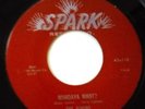    The Robins Doo Wop 45 Whadya Want b/w If Teardrops Were Kisses