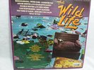 Various Artist The Wild Life MCA5523 Soundtrack Promo Edward Van Halen Ron Wood