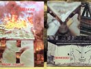 PUNK ROCK 2 LP LOT: FIREHOSE - fROMOHIO, RAGIN' FULL-ON SST Records
