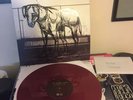 The Wonder Years Sister Cities Vinyl