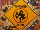 Vinyl LP - D. R. I. (Dirty Rotten Imbeciles) - Thrash Zone - 1989