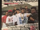 DJ Magic Mike and the Royal Fresh Posse Vinyl Miami BASS NM w/shrink HIP HOP