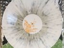 NEW RARE All Time Low - Put Up Or Shut Up Vinyl LP /500 Fall Out Boy The Maine