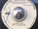 Mariachi Nuevo Tecalitlan 