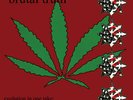 Brutal Truth - Evolution In One Take Vinyl LP