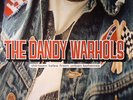 DANDY WARHOLS, The - Thirteen Tales From Urban Bohemia - Vinyl (2xLP)