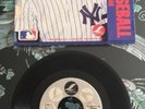 Terry Cashman, Talkin’ Baseball 45 LP Rare 1984 For NY Yankees Fans Only MLB